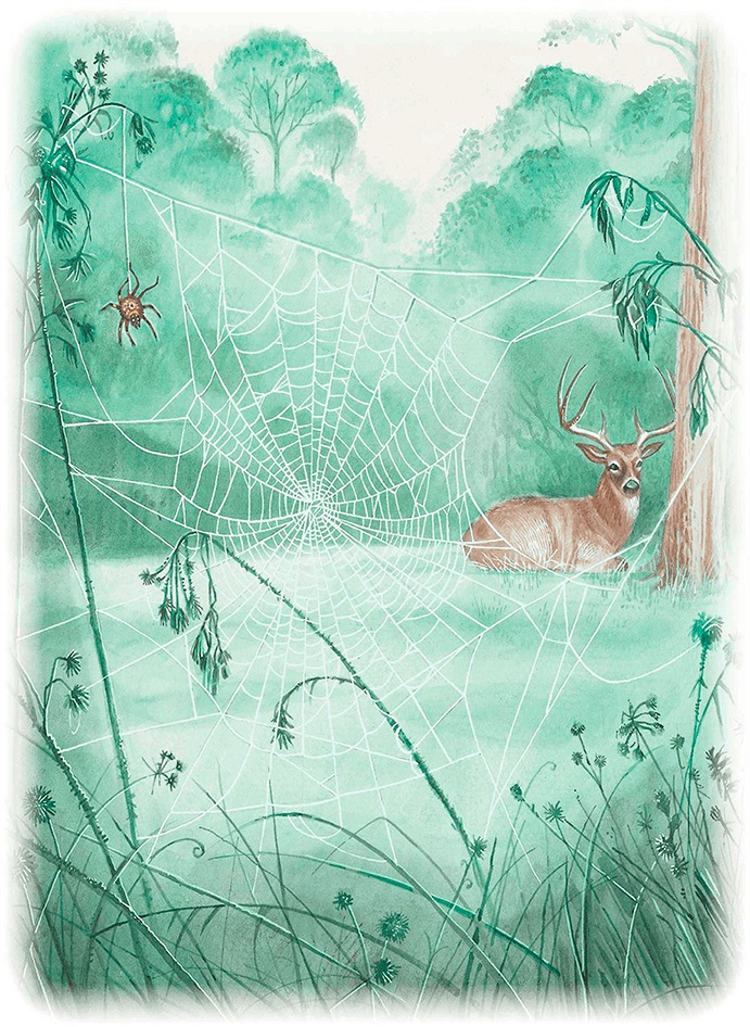 Иллюстрация к книге — Бемби [i_038.jpg]