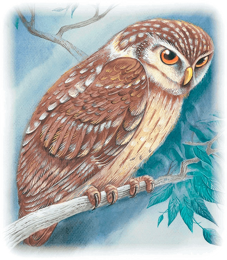 Иллюстрация к книге — Бемби [i_052.jpg]