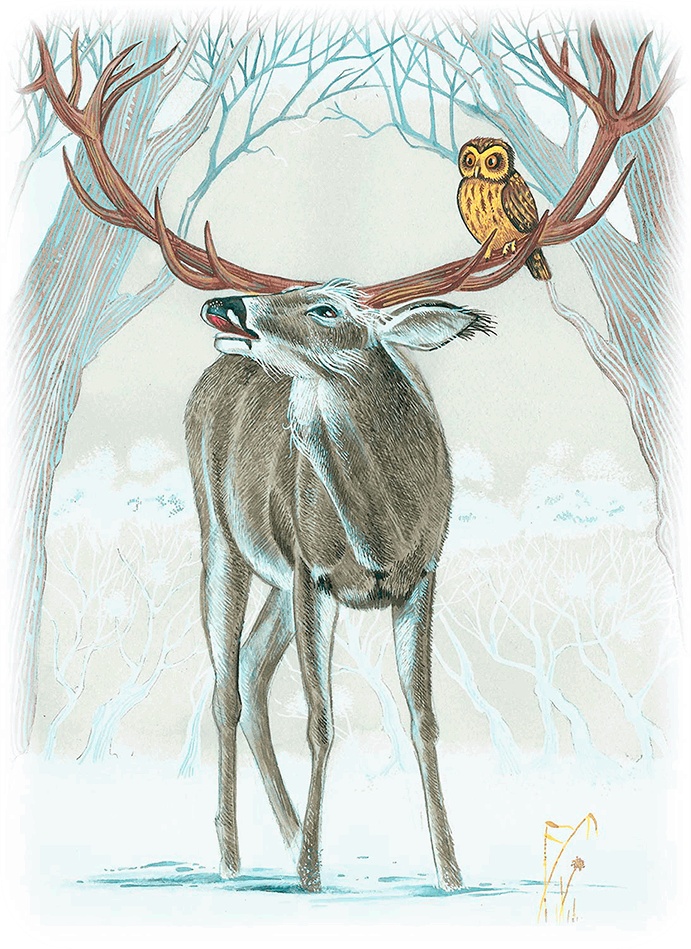 Иллюстрация к книге — Бемби [i_056.jpg]