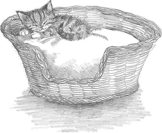 Иллюстрация к книге — Котёнок Снежинка, или Зимнее волшебство [i_002.jpg]