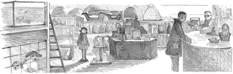 Иллюстрация к книге — Котёнок Снежинка, или Зимнее волшебство [i_005.jpg]