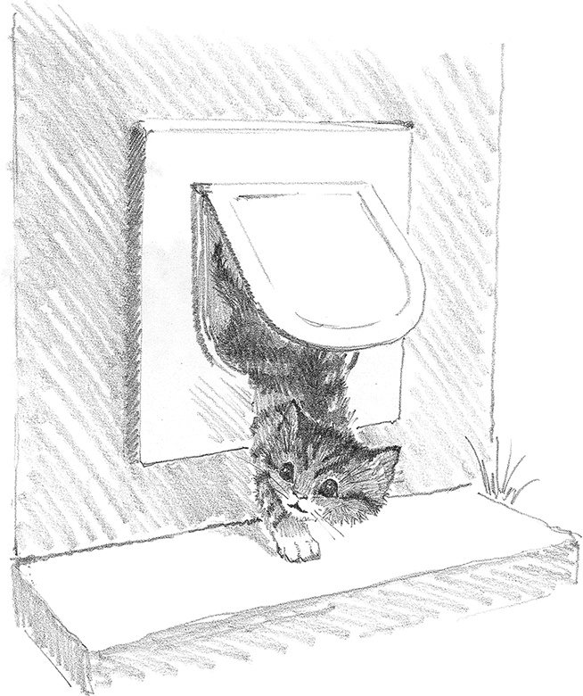 Иллюстрация к книге — Котёнок Снежинка, или Зимнее волшебство [i_006.jpg]