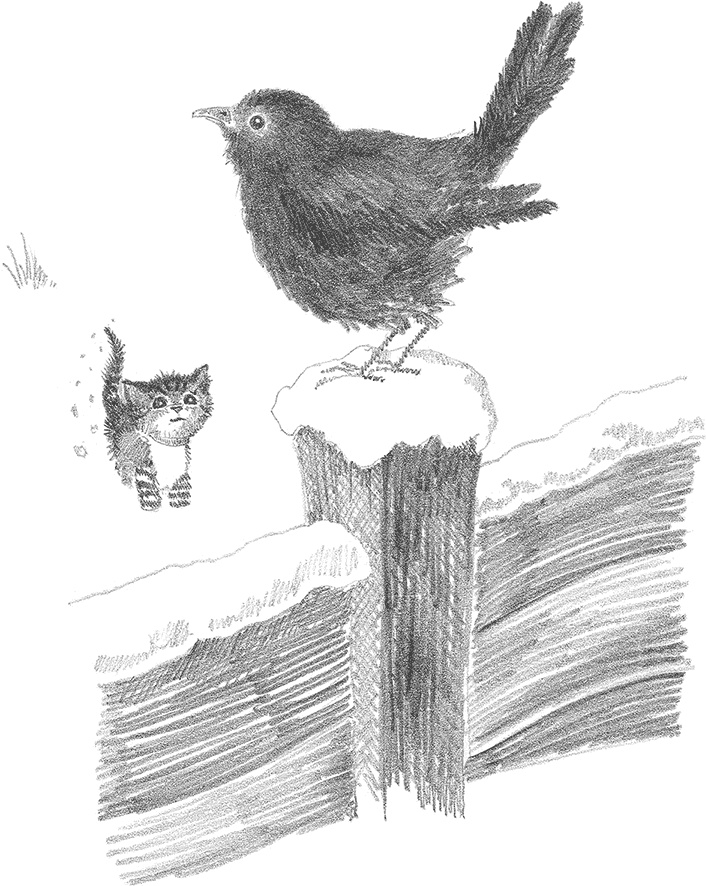 Иллюстрация к книге — Котёнок Снежинка, или Зимнее волшебство [i_011.jpg]