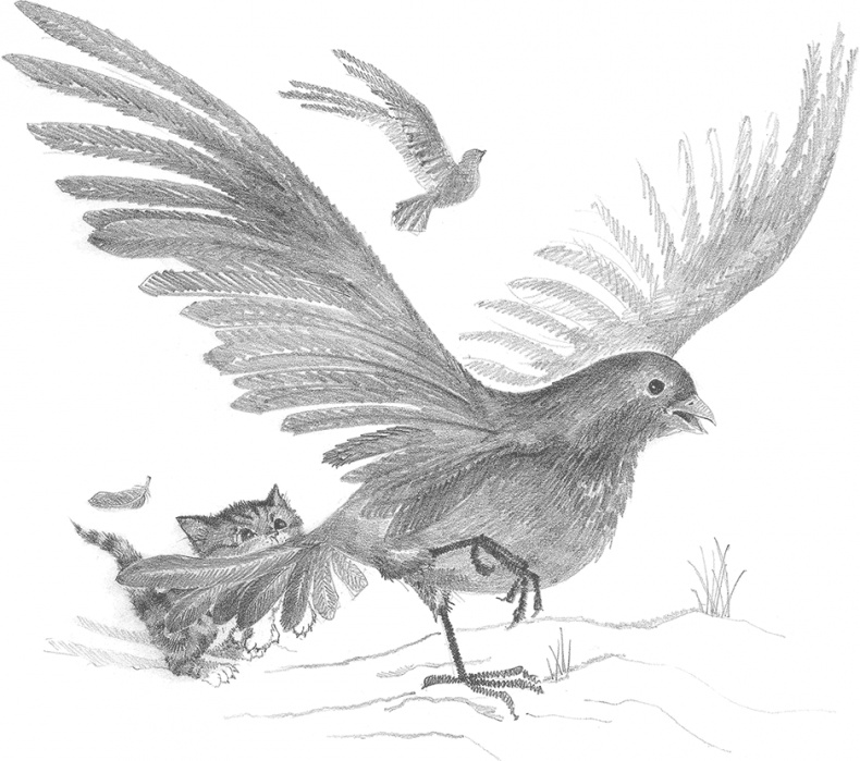 Иллюстрация к книге — Котёнок Снежинка, или Зимнее волшебство [i_014.jpg]