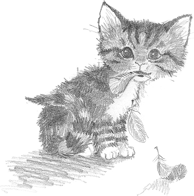 Иллюстрация к книге — Котёнок Снежинка, или Зимнее волшебство [i_015.jpg]