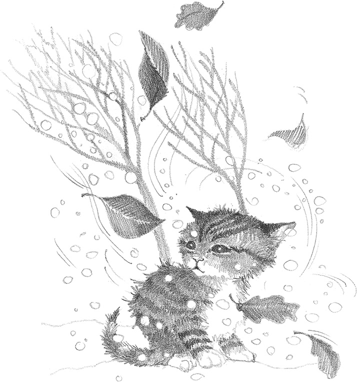 Иллюстрация к книге — Котёнок Снежинка, или Зимнее волшебство [i_016.jpg]