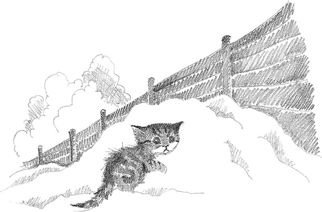 Иллюстрация к книге — Котёнок Снежинка, или Зимнее волшебство [i_017.jpg]