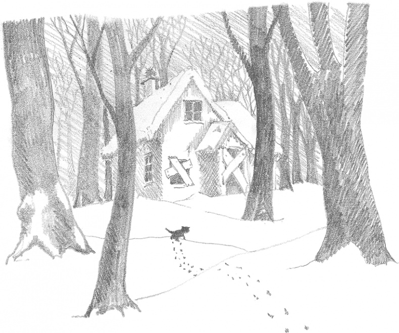 Иллюстрация к книге — Котёнок Снежинка, или Зимнее волшебство [i_018.jpg]