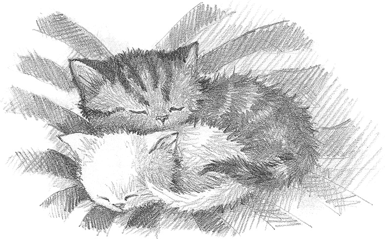 Иллюстрация к книге — Котёнок Снежинка, или Зимнее волшебство [i_023.jpg]