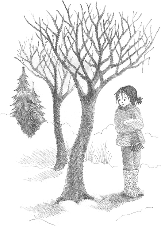 Иллюстрация к книге — Котёнок Снежинка, или Зимнее волшебство [i_024.jpg]