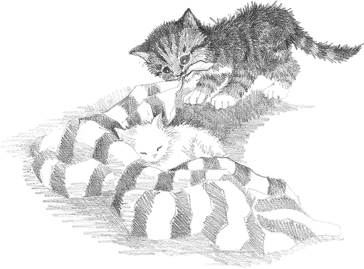 Иллюстрация к книге — Котёнок Снежинка, или Зимнее волшебство [i_028.jpg]