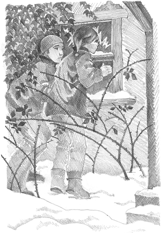 Иллюстрация к книге — Котёнок Снежинка, или Зимнее волшебство [i_032.jpg]