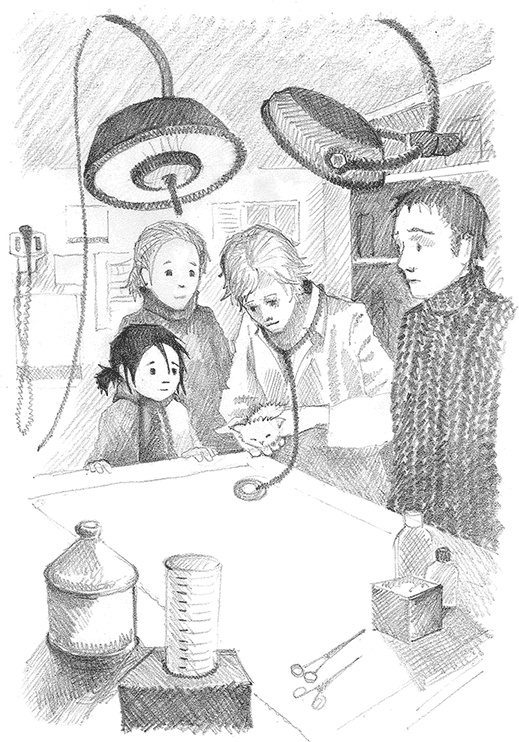 Иллюстрация к книге — Котёнок Снежинка, или Зимнее волшебство [i_035.jpg]