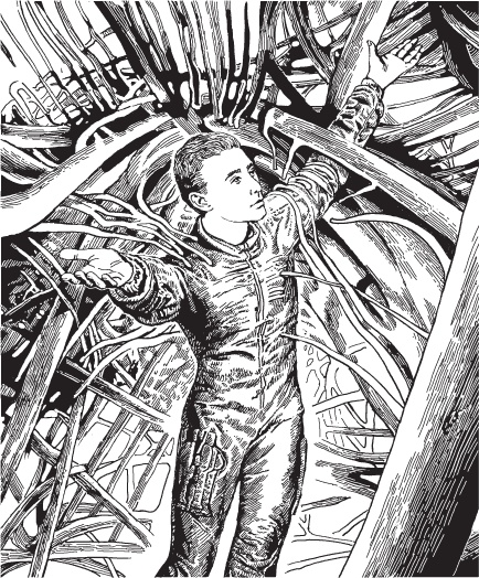 Иллюстрация к книге — Сезон туманов (сборник) [_6.jpg]