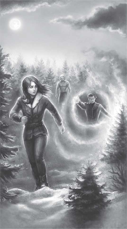 Иллюстрация к книге — Королевская кровь. Скрытое пламя [i_006.jpg]