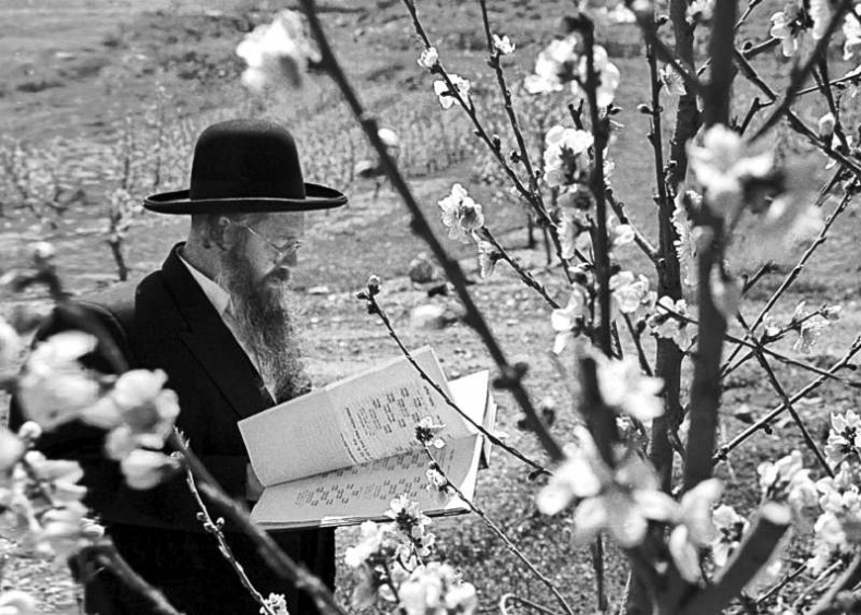 Иллюстрация к книге — Религия для атеистов [_106.jpg]