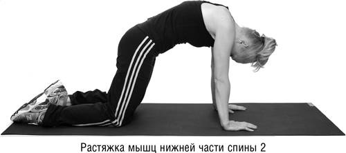 Иллюстрация к книге — Год, прожитый правильно. 52 шага к здоровому образу жизни [i_037.jpg]