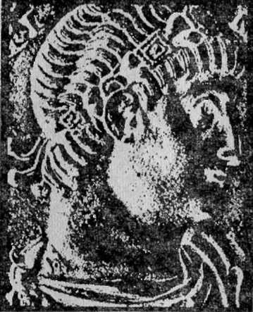 Иллюстрация к книге — Орудие Немезиды [i_001.jpg]