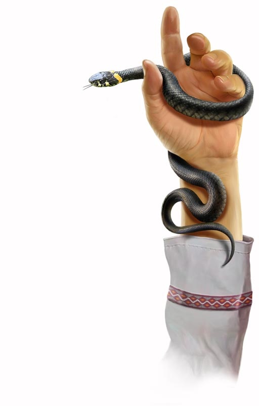 Иллюстрация к книге — Путешествие в страну сказок [i_021.jpg]