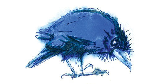 Иллюстрация к книге — Ворон Клара и яблочный год [i_008.jpg]