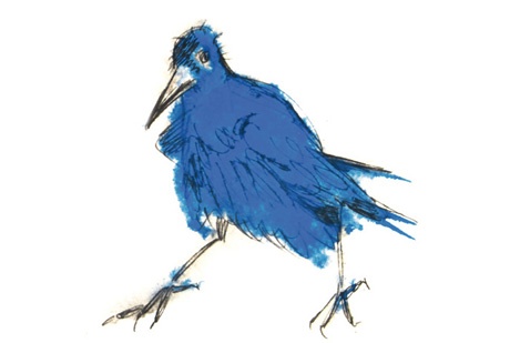 Иллюстрация к книге — Ворон Клара и яблочный год [i_046.jpg]