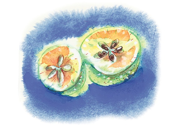 Иллюстрация к книге — Ворон Клара и яблочный год [i_047.jpg]