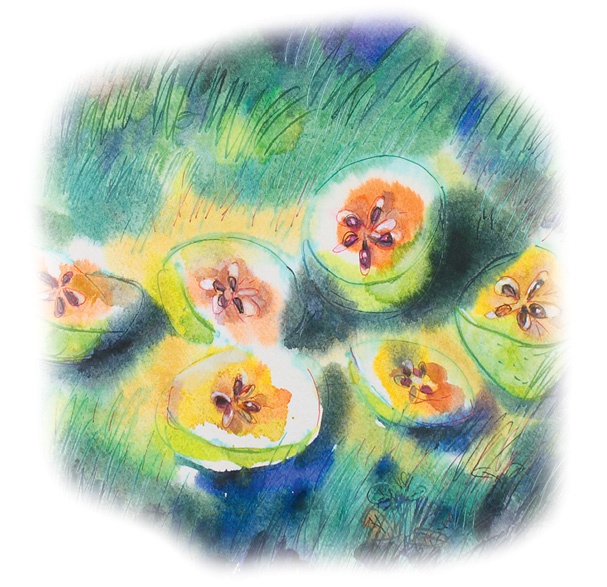 Иллюстрация к книге — Ворон Клара и яблочный год [i_048.jpg]