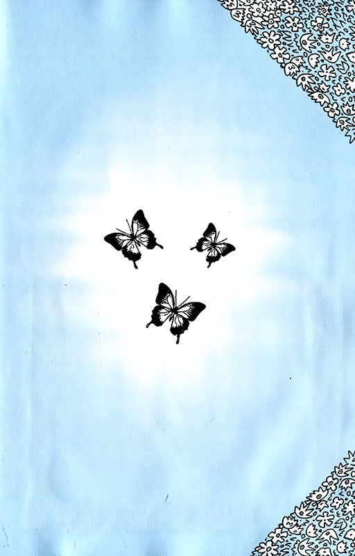 Иллюстрация к книге — Графиня Кейт [i_011.jpg]