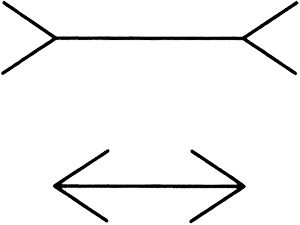 Иллюстрация к книге — Быстрый ум. Как забывать лишнее и помнить нужное [i_024.jpg]