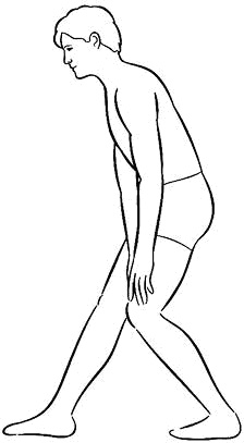 Иллюстрация к книге — 2-дневная диета [_32.jpg]