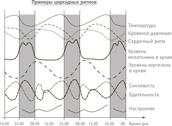Иллюстрация к книге — Мозг освобожденный. Как предотвратить перегрузки и использовать свой потенциал на полную мощь [i_045.jpg]