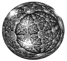 Иллюстрация к книге — Путь истинного лидера [i_001.jpg]