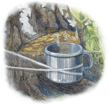 Иллюстрация к книге — Жук на ниточке [i_012.jpg]