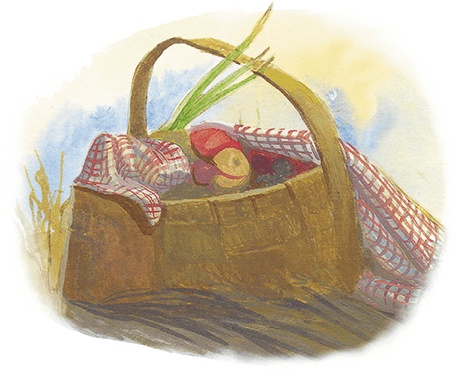 Иллюстрация к книге — Жук на ниточке [i_014.jpg]