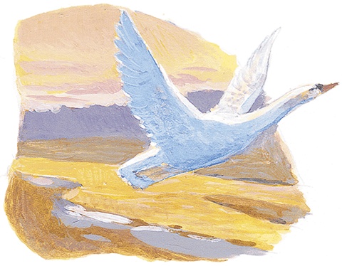 Иллюстрация к книге — Жук на ниточке [i_031.jpg]