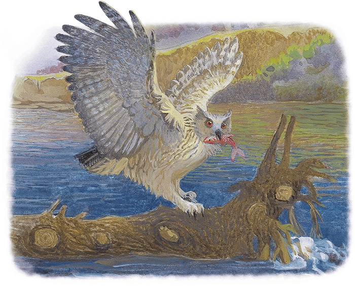 Иллюстрация к книге — Жук на ниточке [i_033.jpg]