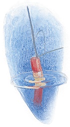 Иллюстрация к книге — Жук на ниточке [i_034.jpg]