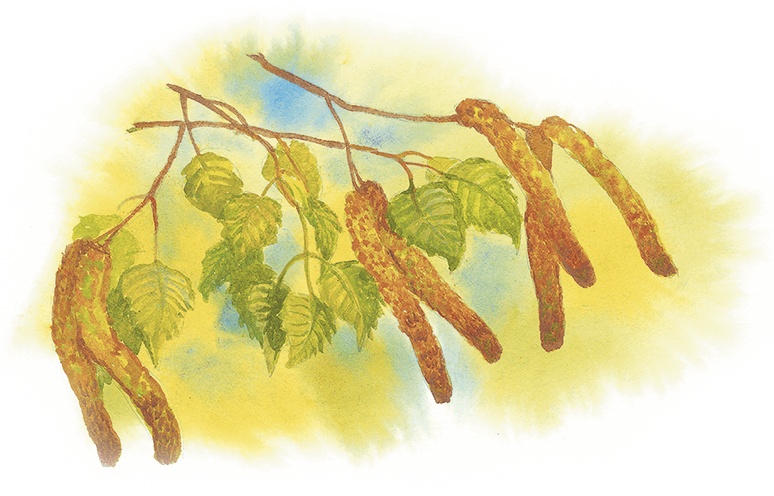 Иллюстрация к книге — Жук на ниточке [i_036.jpg]