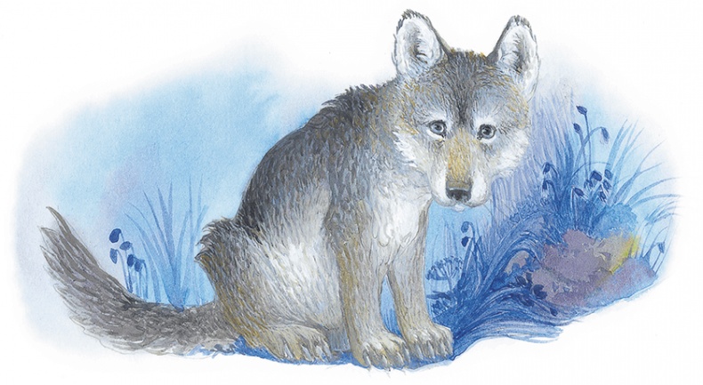 Иллюстрация к книге — Жук на ниточке [i_039.jpg]