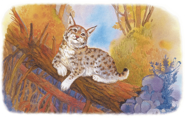 Иллюстрация к книге — Жук на ниточке [i_042.jpg]