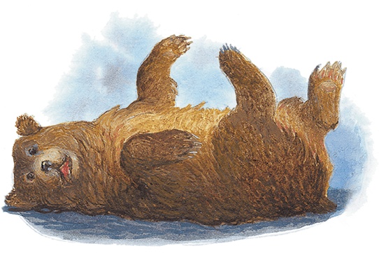 Иллюстрация к книге — Жук на ниточке [i_049.jpg]