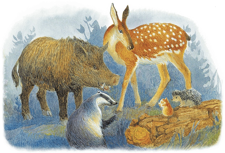 Иллюстрация к книге — Жук на ниточке [i_051.jpg]