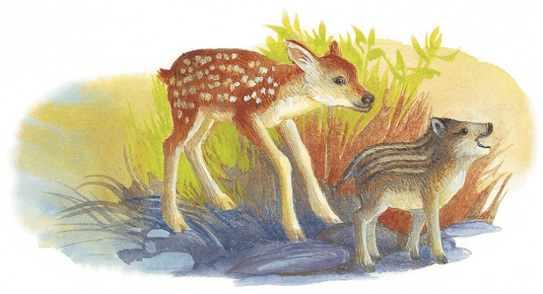 Иллюстрация к книге — Жук на ниточке [i_054.jpg]