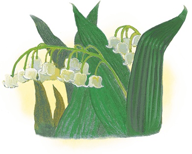 Иллюстрация к книге — Жук на ниточке [i_055.jpg]