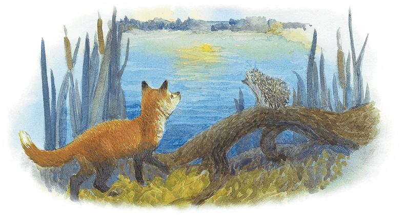 Иллюстрация к книге — Жук на ниточке [i_057.jpg]