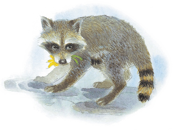 Иллюстрация к книге — Жук на ниточке [i_058.jpg]