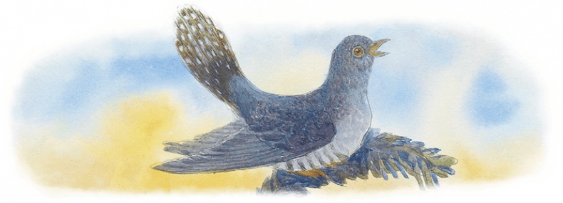 Иллюстрация к книге — Жук на ниточке [i_059.jpg]