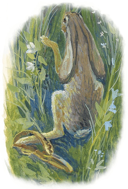 Иллюстрация к книге — Жук на ниточке [i_063.jpg]