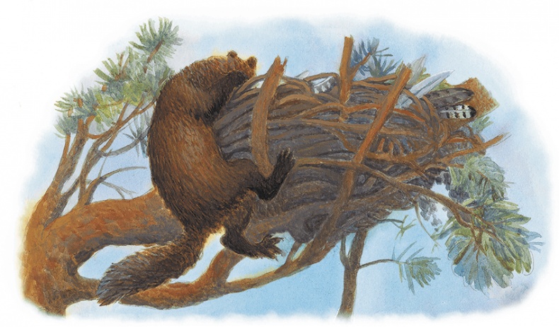 Иллюстрация к книге — Жук на ниточке [i_067.jpg]