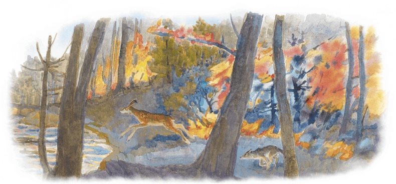 Иллюстрация к книге — Жук на ниточке [i_069.jpg]